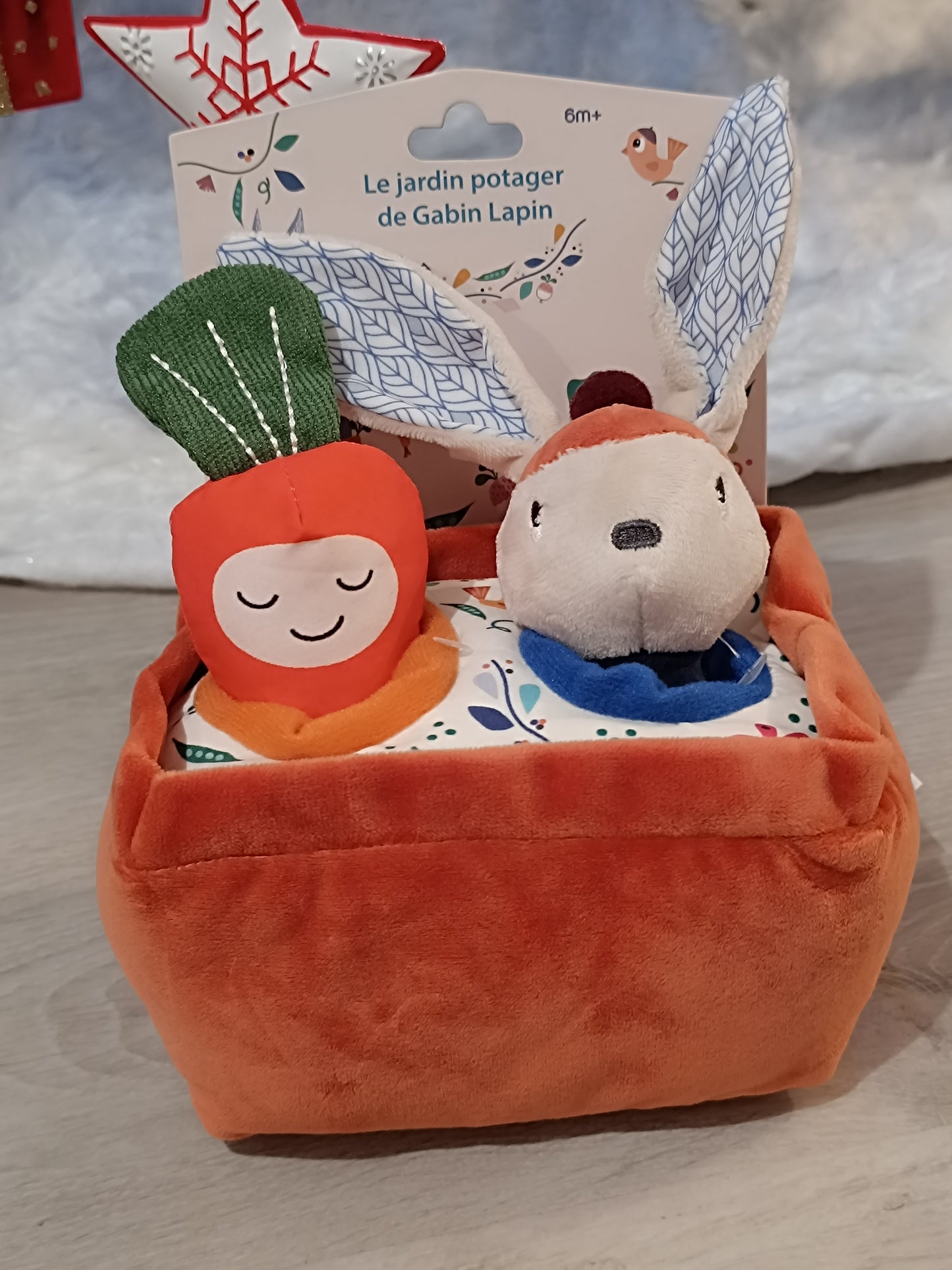 Mini Potager Gabin Lapin