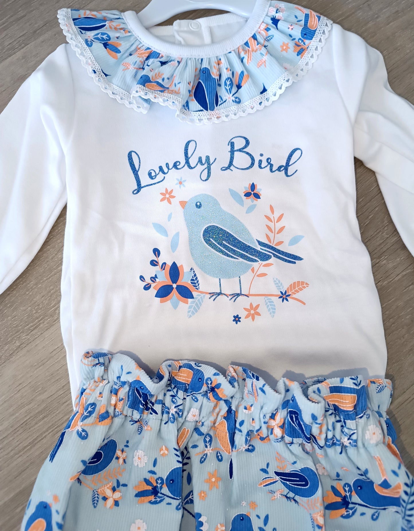 Ensemble "Bird"