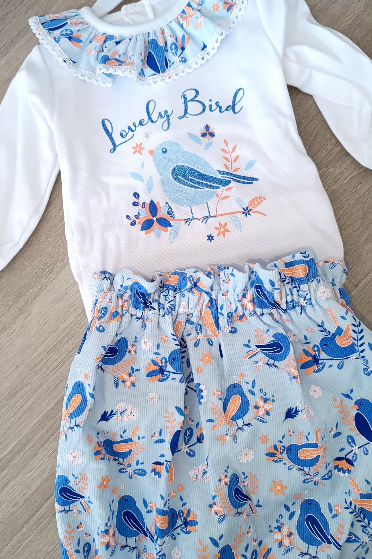 Ensemble "Bird"