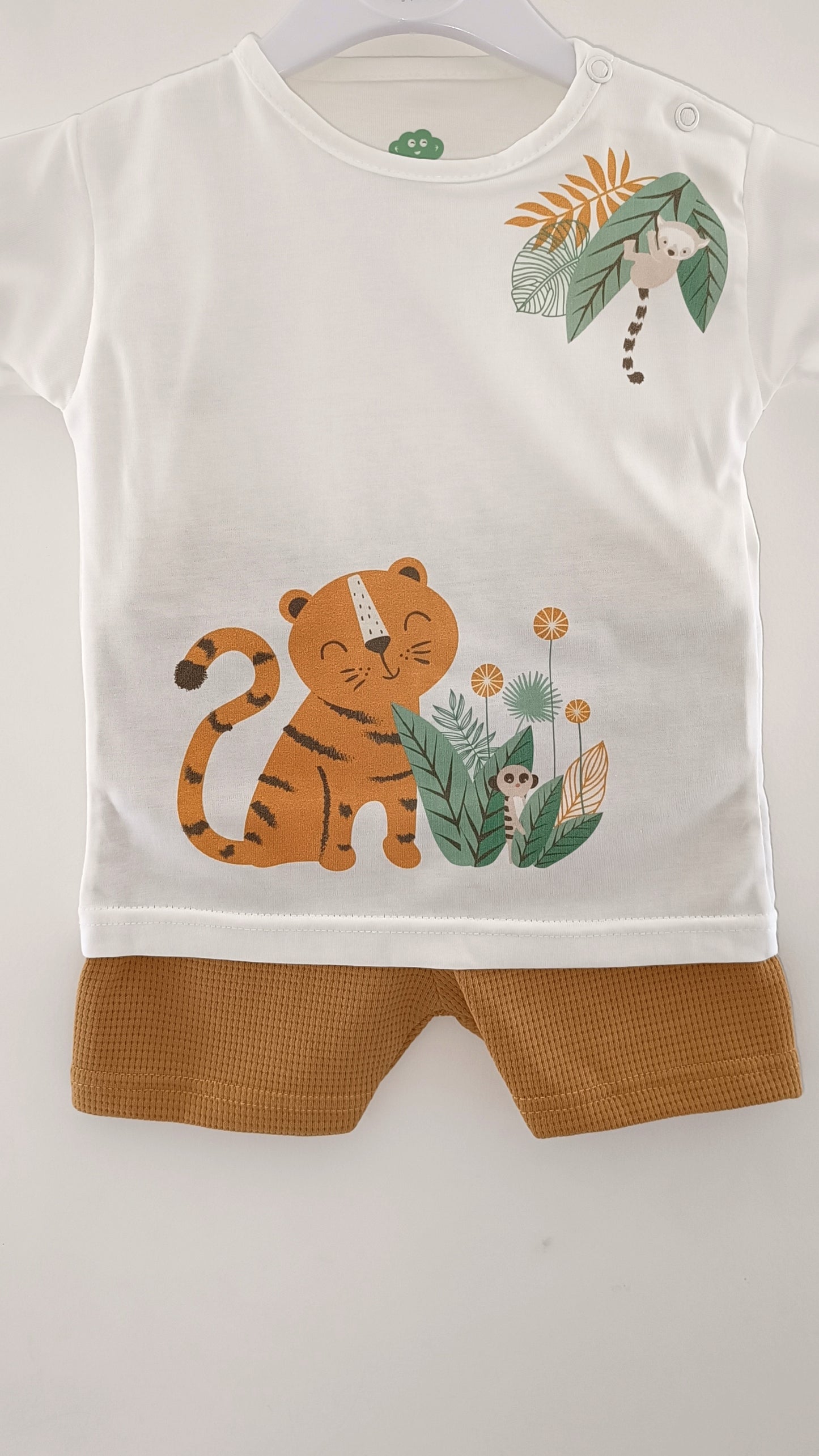 Ensemble Safari
