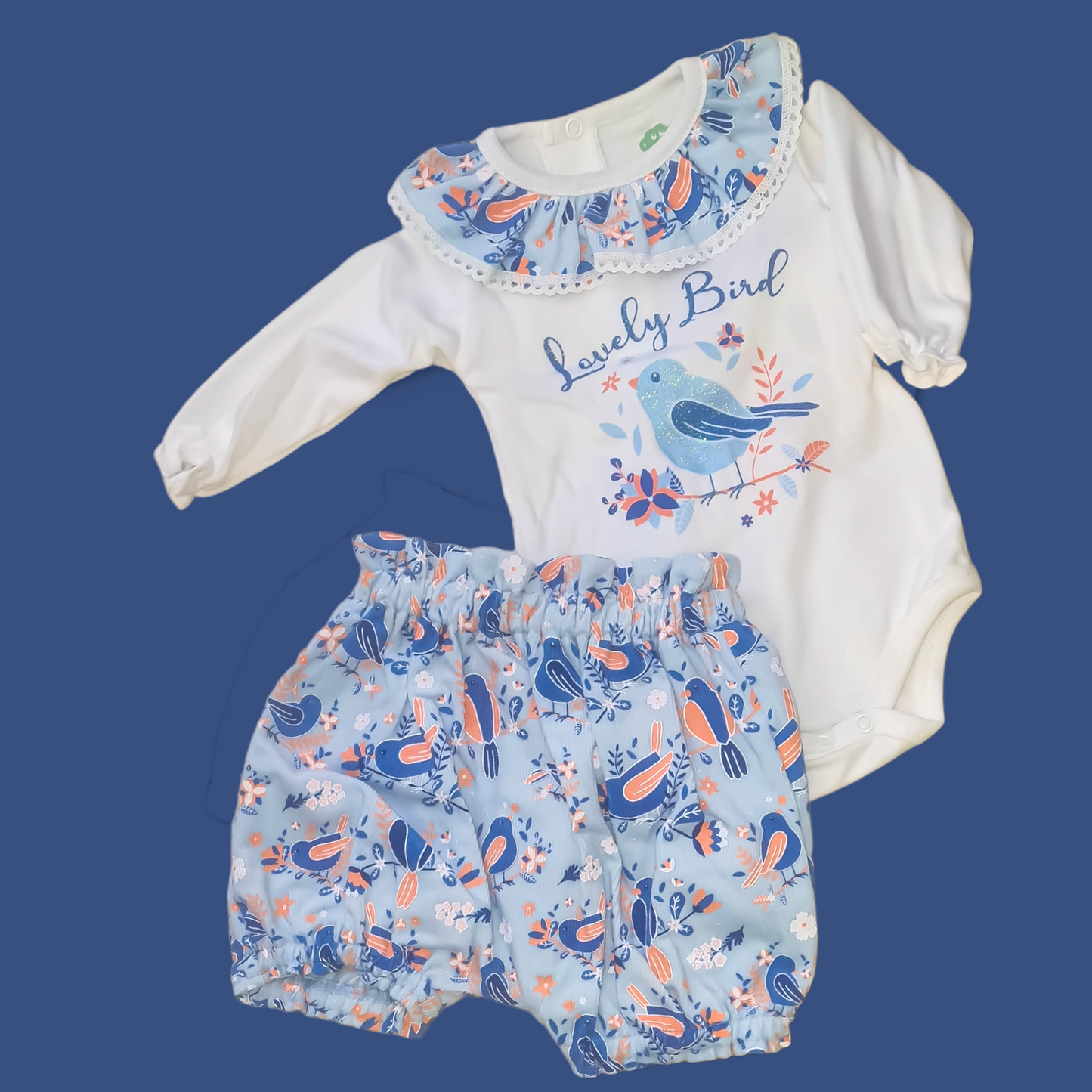 Ensemble "Bird"
